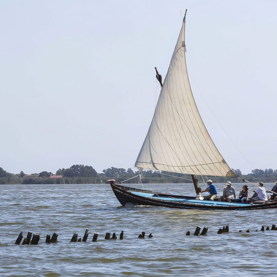 Segunda imagen de la vela latina de Albufera