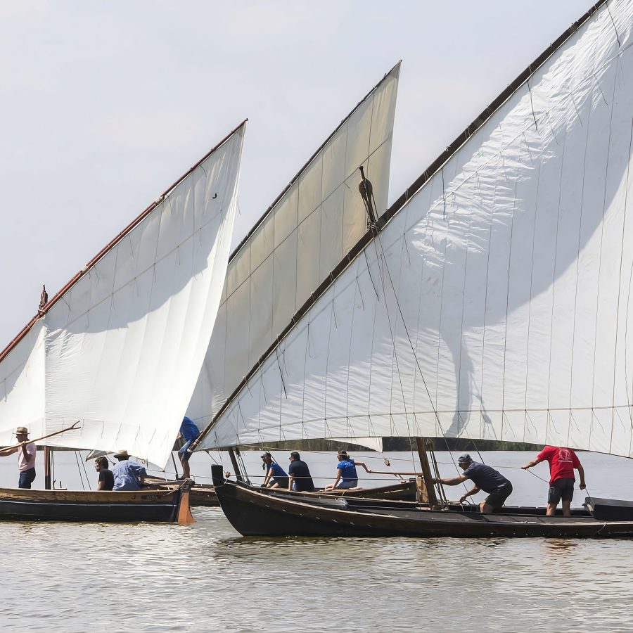Imagen de vela latina Albufera
